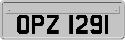 OPZ1291
