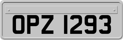 OPZ1293