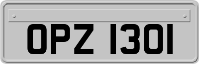 OPZ1301