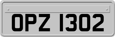 OPZ1302