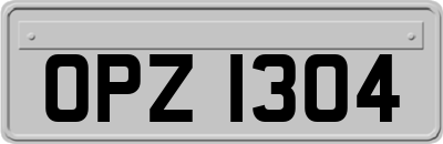 OPZ1304