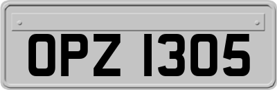 OPZ1305