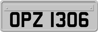 OPZ1306