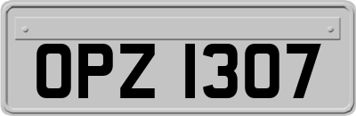 OPZ1307