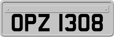 OPZ1308