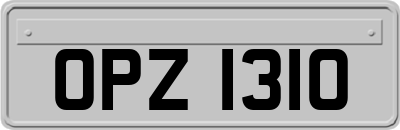 OPZ1310