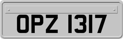 OPZ1317