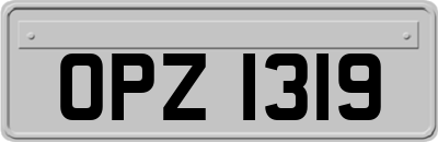 OPZ1319