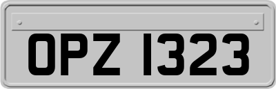OPZ1323