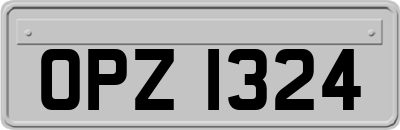 OPZ1324