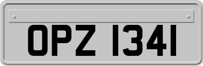 OPZ1341