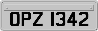 OPZ1342