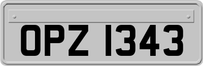 OPZ1343