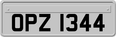 OPZ1344