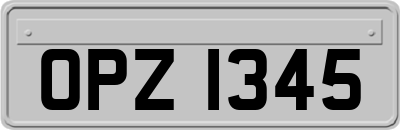 OPZ1345