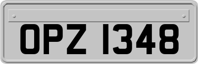 OPZ1348