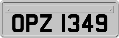 OPZ1349