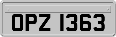 OPZ1363