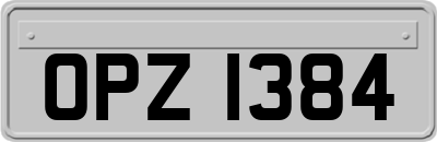 OPZ1384