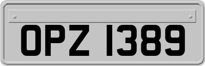 OPZ1389