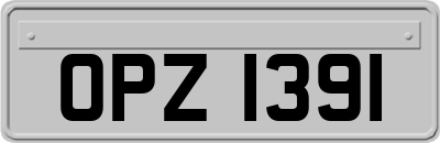OPZ1391