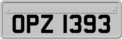 OPZ1393