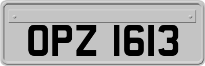 OPZ1613