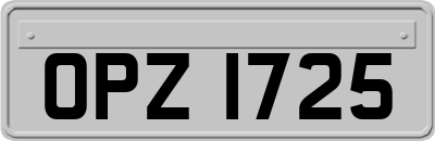 OPZ1725