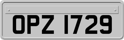 OPZ1729
