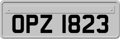 OPZ1823