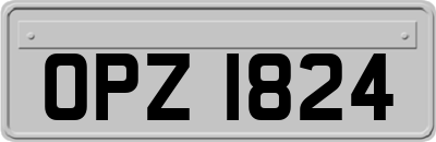 OPZ1824