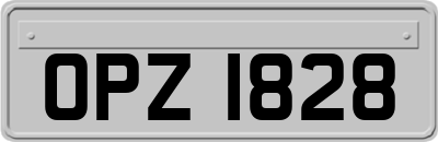 OPZ1828