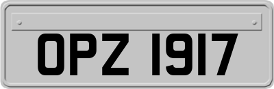 OPZ1917