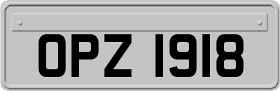 OPZ1918