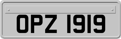 OPZ1919