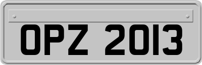 OPZ2013