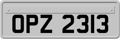 OPZ2313