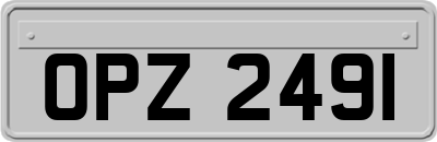 OPZ2491