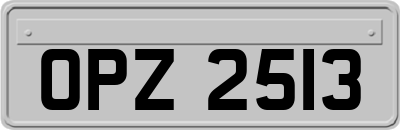 OPZ2513