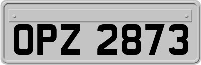 OPZ2873