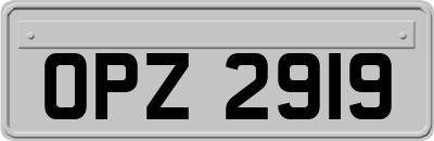 OPZ2919
