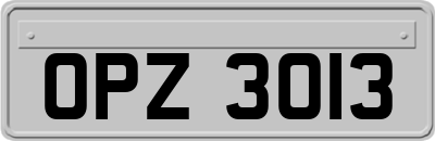 OPZ3013