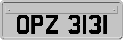 OPZ3131