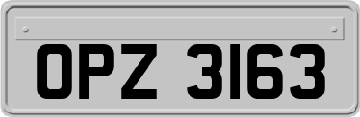 OPZ3163