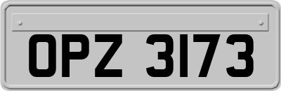 OPZ3173