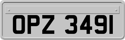 OPZ3491