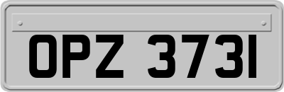 OPZ3731