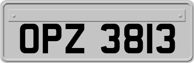 OPZ3813