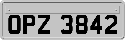 OPZ3842