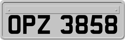 OPZ3858